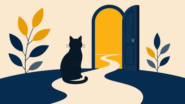 Rüyada siyah kedi görmek