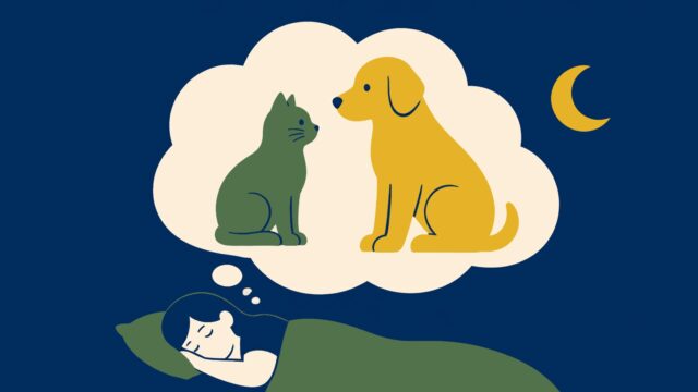 Rüyada kedi köpek görmek