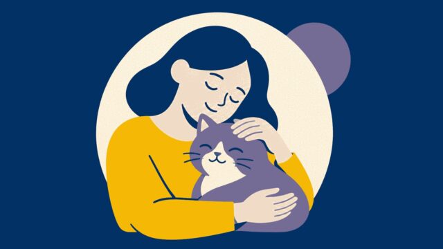 Rüyada kedi sevmek