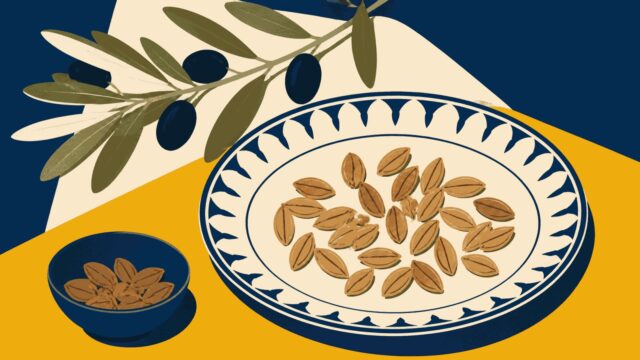 Rüyada zeytin çekirdeği görmek