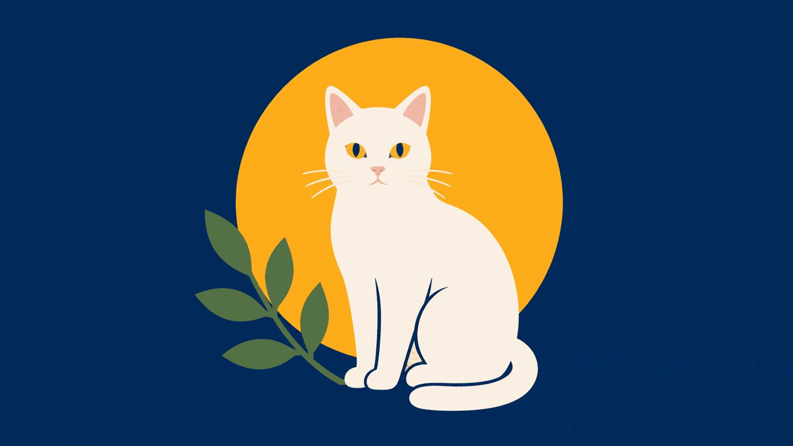Rüyada beyaz kedi görmek