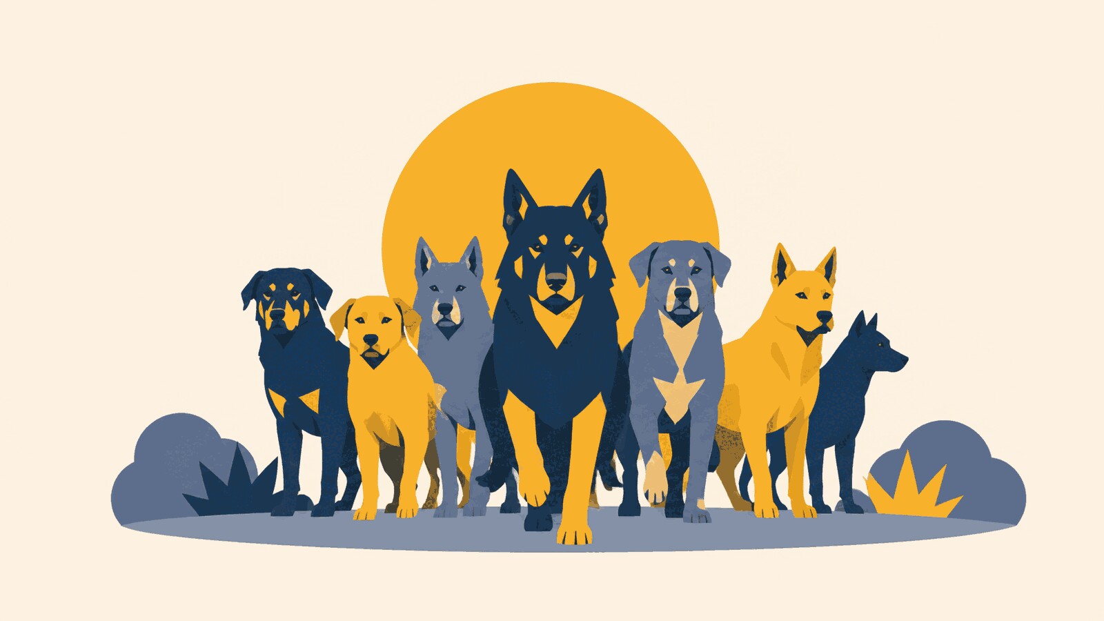Rüyada köpek sürüsü görmek
