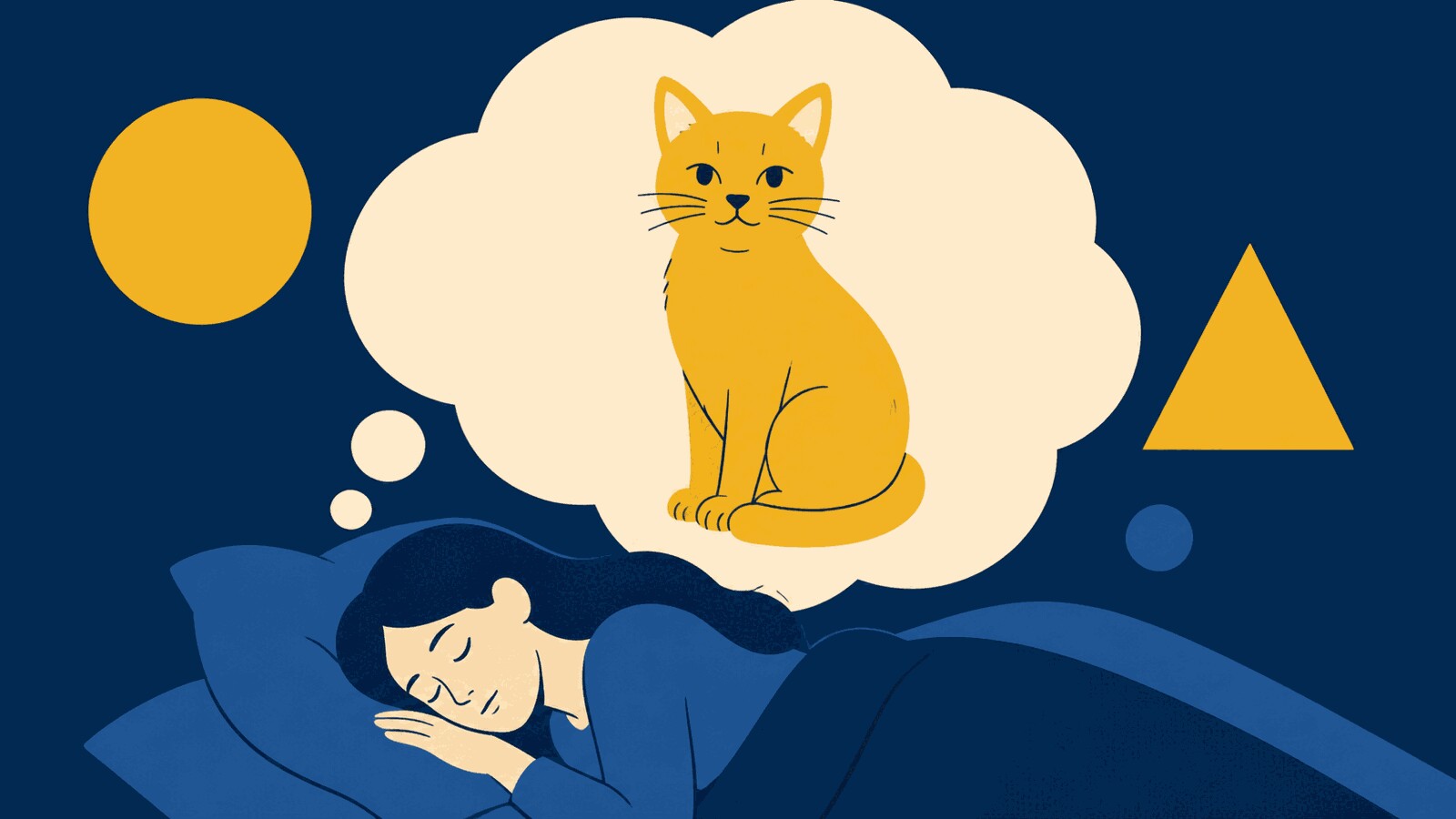 Rüyada sarı kedi görmek