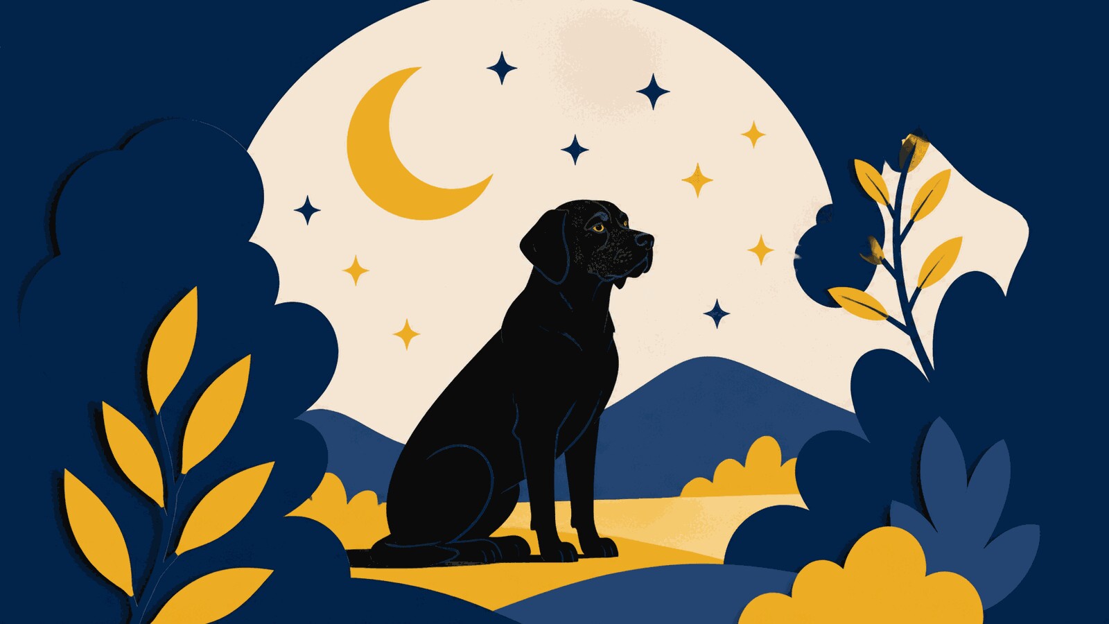 Rüyada siyah köpek görmek