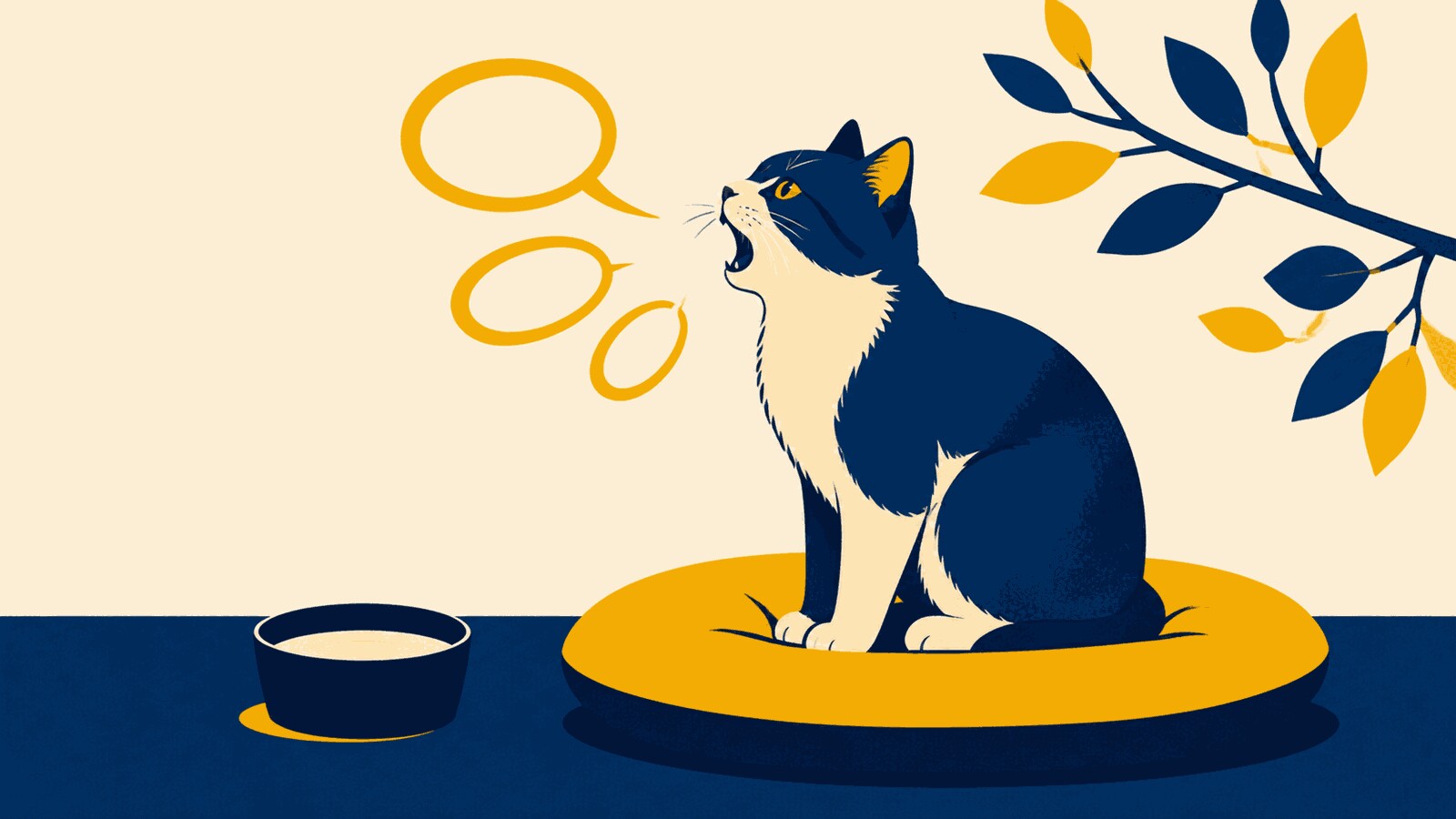 Rüyada konuşan kedi görmek
