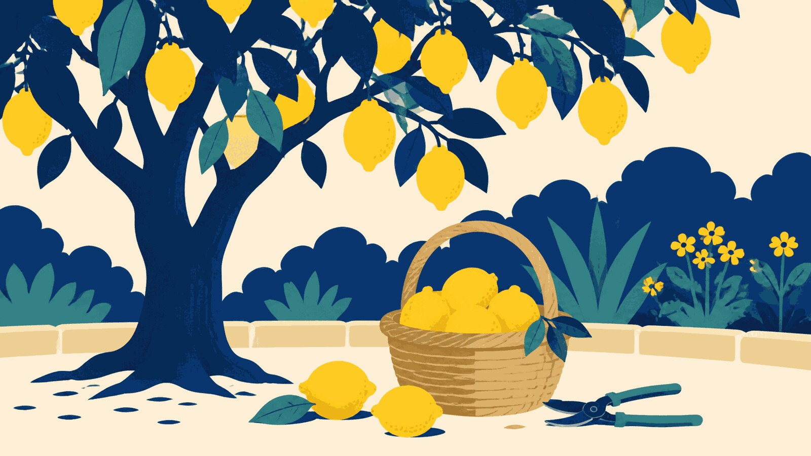 Rüyada limon toplamak