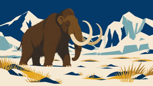 Rüyada mamut görmek