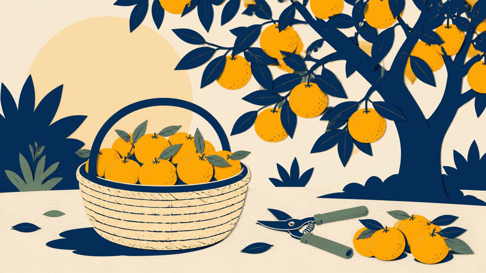 Rüyada mandalina toplamak