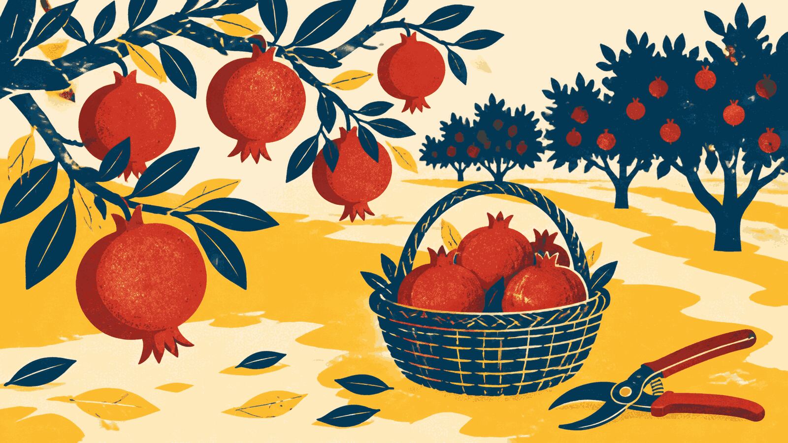 Rüyada nar toplamak