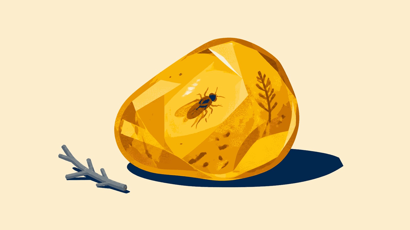 Rüyada amber görmek