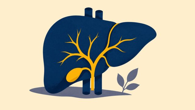 Rüyada organ görmek için öne çıkan görsel