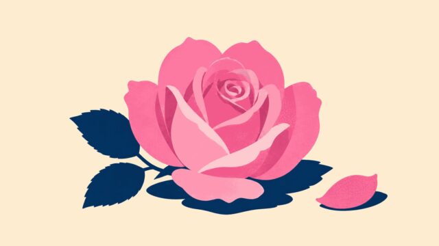 Rüyada pembe görmek için öne çıkan görsel