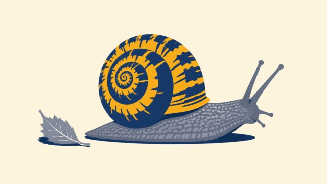Rüyada salyangoz görmek için öne çıkan görsel