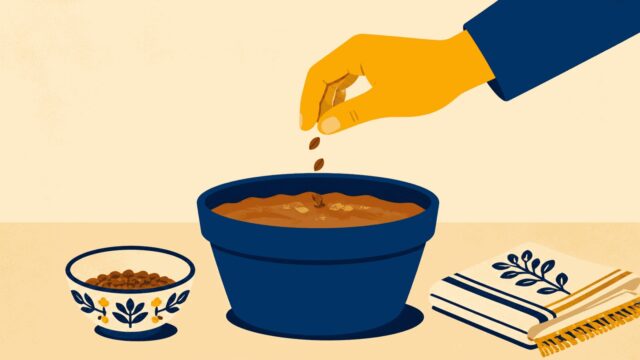 Rüyada tohum ekmek için öne çıkan görsel