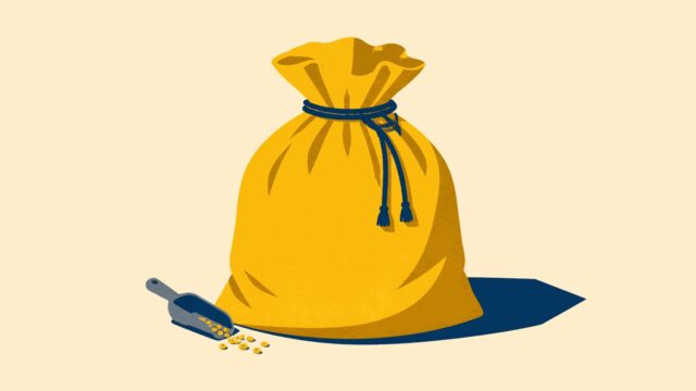Rüyada torba görmek için öne çıkan görsel