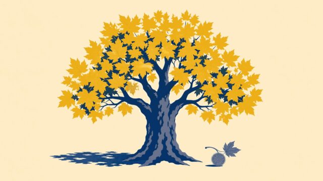 Rüyada çınar ağacı görmek için öne çıkan görsel