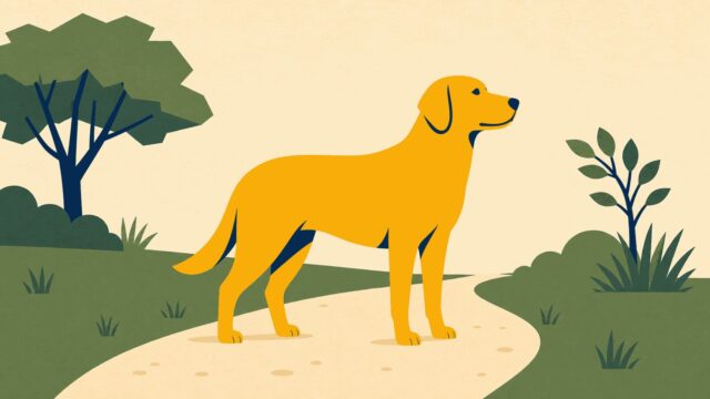 Rüyada köpek görmek için öne çıkan görsel