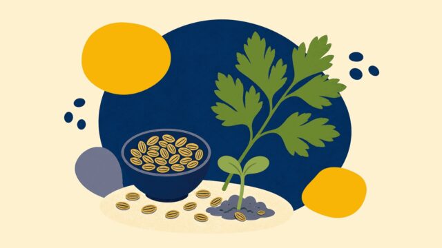 Rüyada maydanoz tohumu görmek