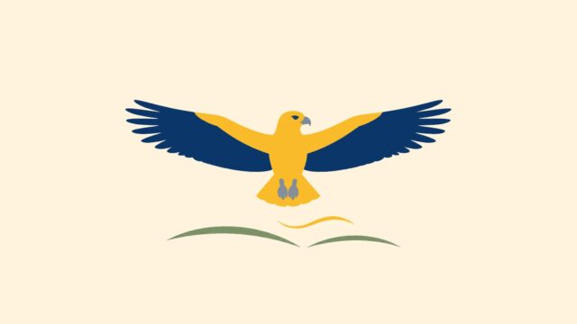 Rüyada tavşancıl görmek için öne çıkan görsel